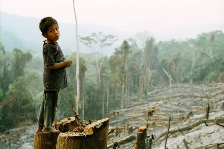 Martin Veber copyright